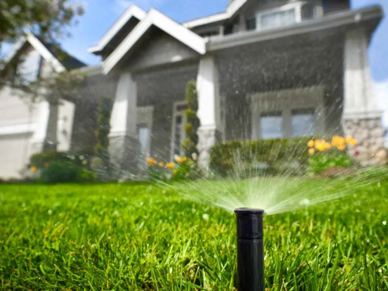 Pop-up spray head watering a residential lawn near planting beds