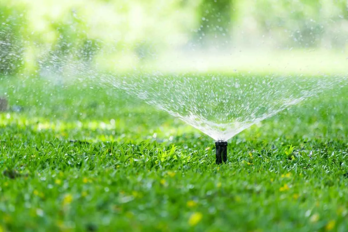 Low pop-up spray head distributing water across a lawn