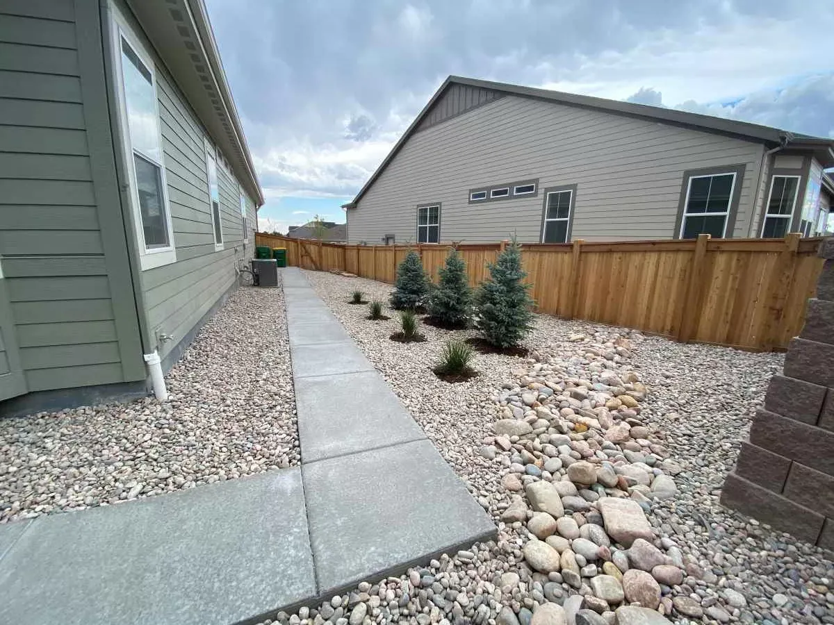 Straight concrete side-yard walkway beside decorative rock, small spruce trees, and a stone drainage channel