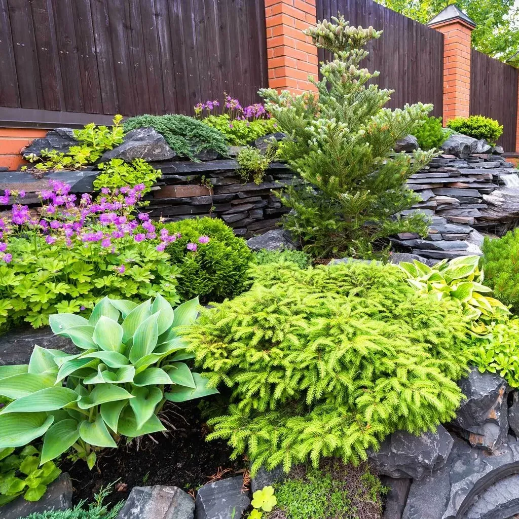 Layered ornamental bed with evergreen forms, flowering perennials, and stone accents