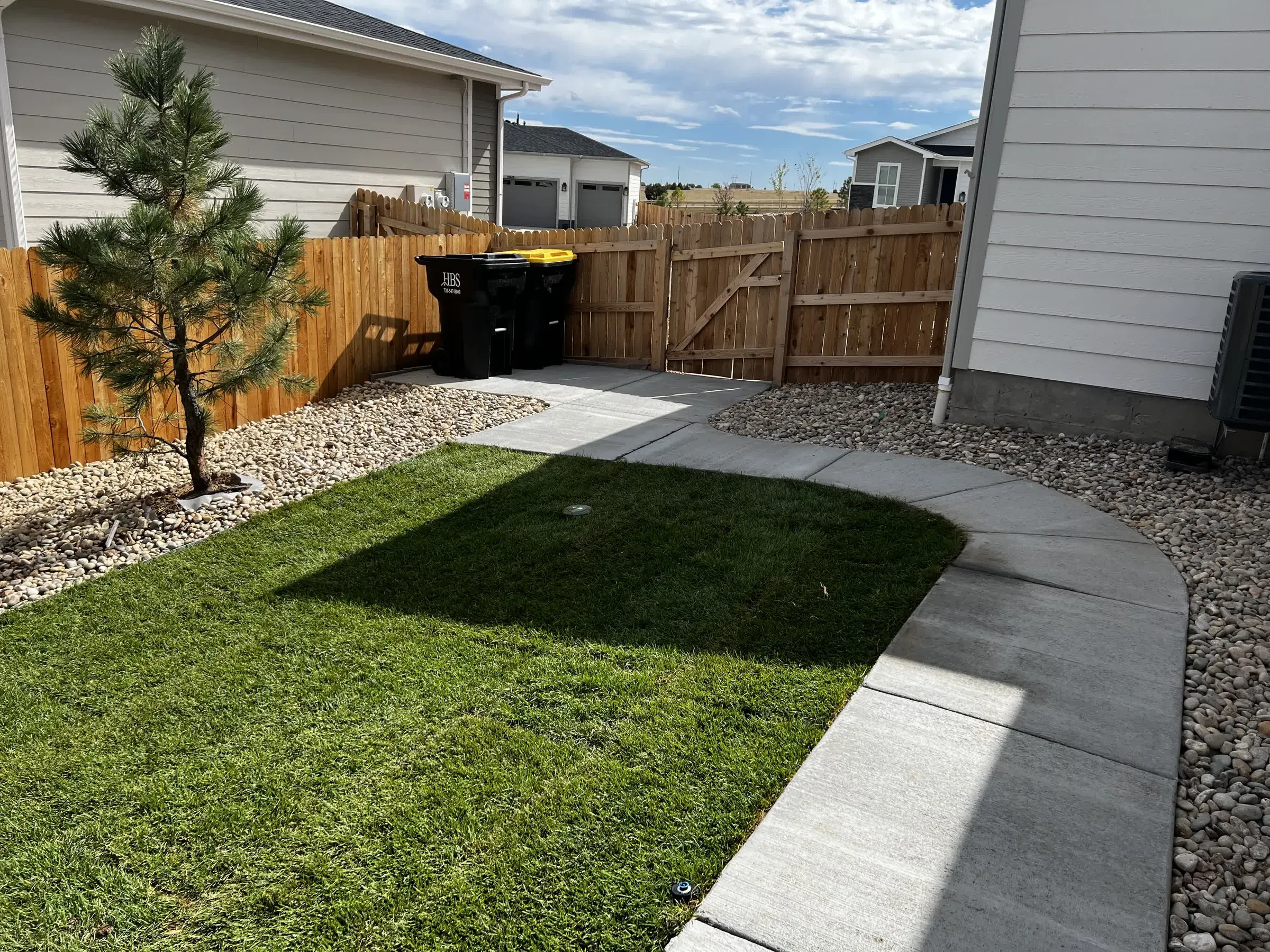 New sod lawn, concrete walkway, and rock planting beds along a wood fence in Castle Rock