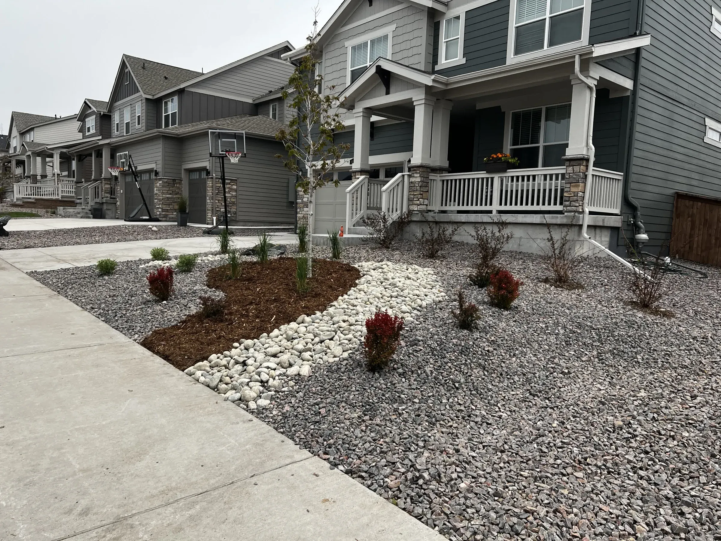Front yard xeriscape with a dry creek bed, rock mulch, and new tree planting in Elizabeth