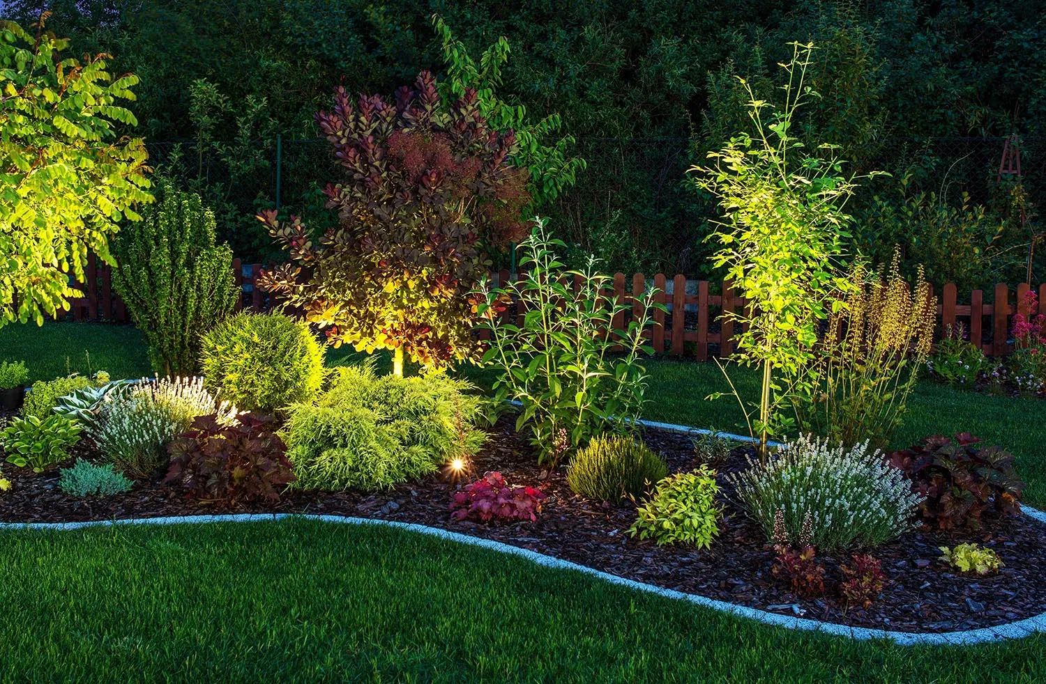 Accent fixtures illuminating trees, shrubs, and perennials in a nighttime planting bed